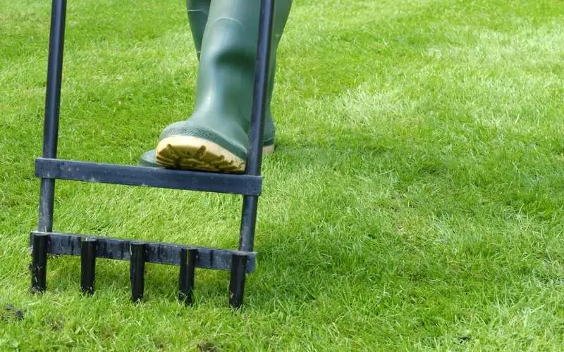 Can I Aerate My Lawn if It’s Wet? (The Wet Grass Guide!)