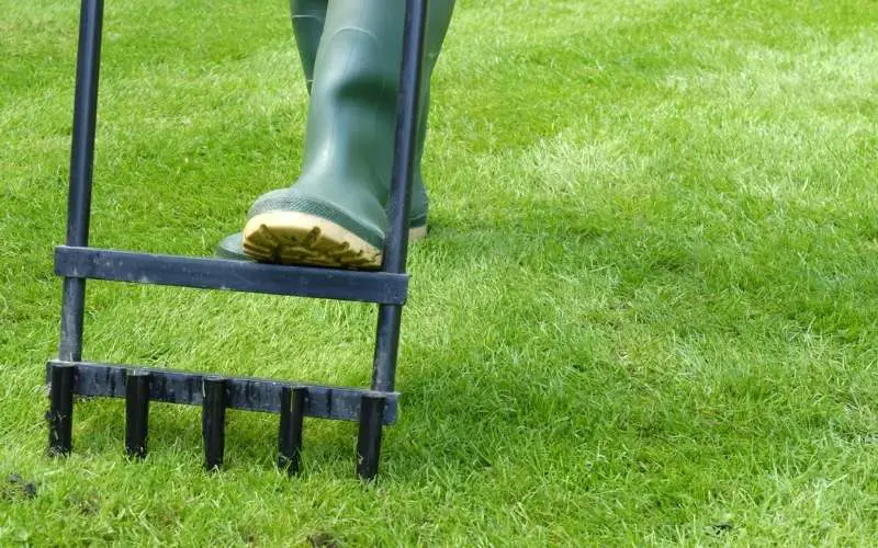 Can I Aerate My Lawn if It’s Wet? (The Wet Grass Guide!) – Family Guide ...