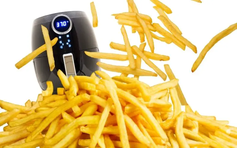 Air fryer French fries - FamilyGuideCentral.com
