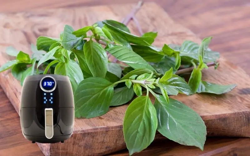 Air fryer dehydrate basil - FamilyGuideCentral.com