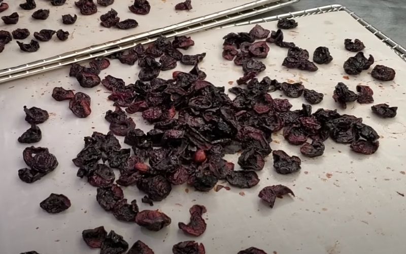 Dehydrated cherries in air fryer - FamilyGuideCentral.com