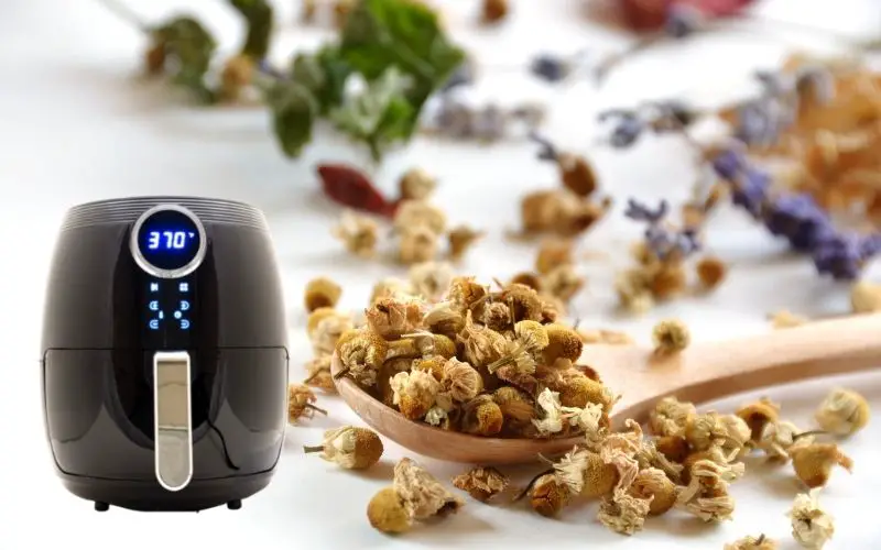 Air fryer dehydrating herbs - FamilyGuideCentral.com