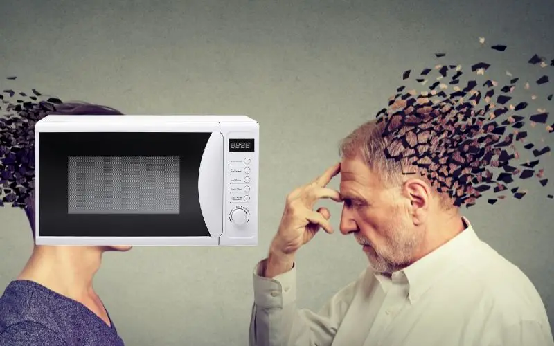 Microwave causing brain damage - FamilyGuideCentral.com