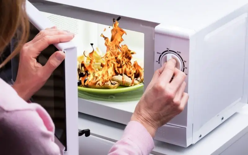 Microwaves explode - FamilyGuideCentral.com