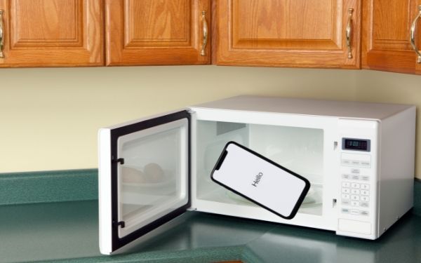 Microwaving a cell phone - FamilyGuideCentral.com
