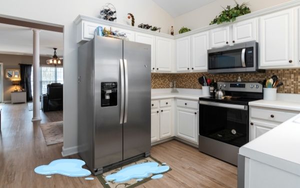 Is it Dangerous if a Fridge Leaks Freon? (Signs and Prevention!)