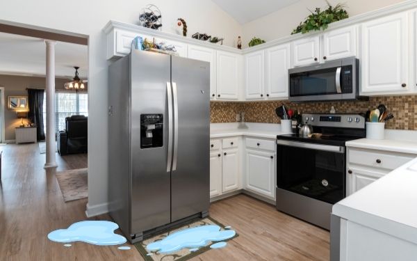 Refrigerator leaking freon - FamilyGuideCentral.com