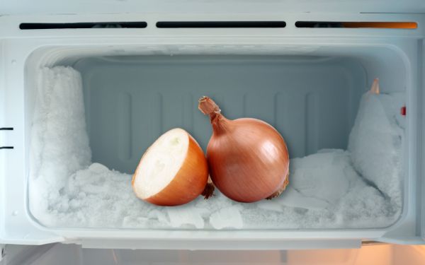Onions in the fridge - FamilyGuideCentral.com