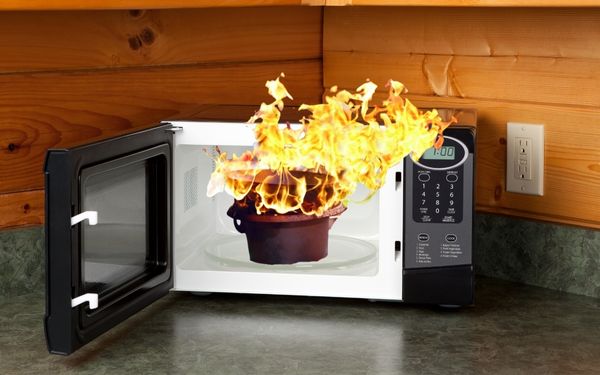 Food burning in microwave - FamilyGuideCentral.com