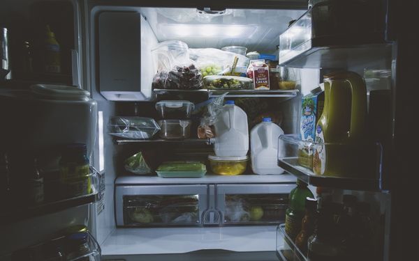 Freezer refrigerator air filters - FamilyGuideCentral.com