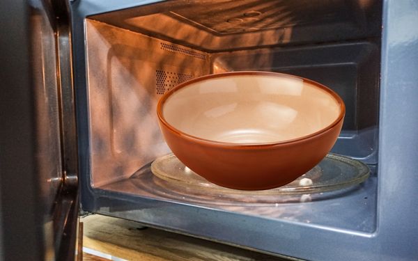 Ceramic bowl in the microwave - familyguidecentral.com