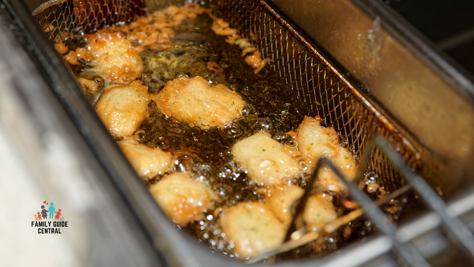 Deep fryer cleaning - familyguidecentral.com