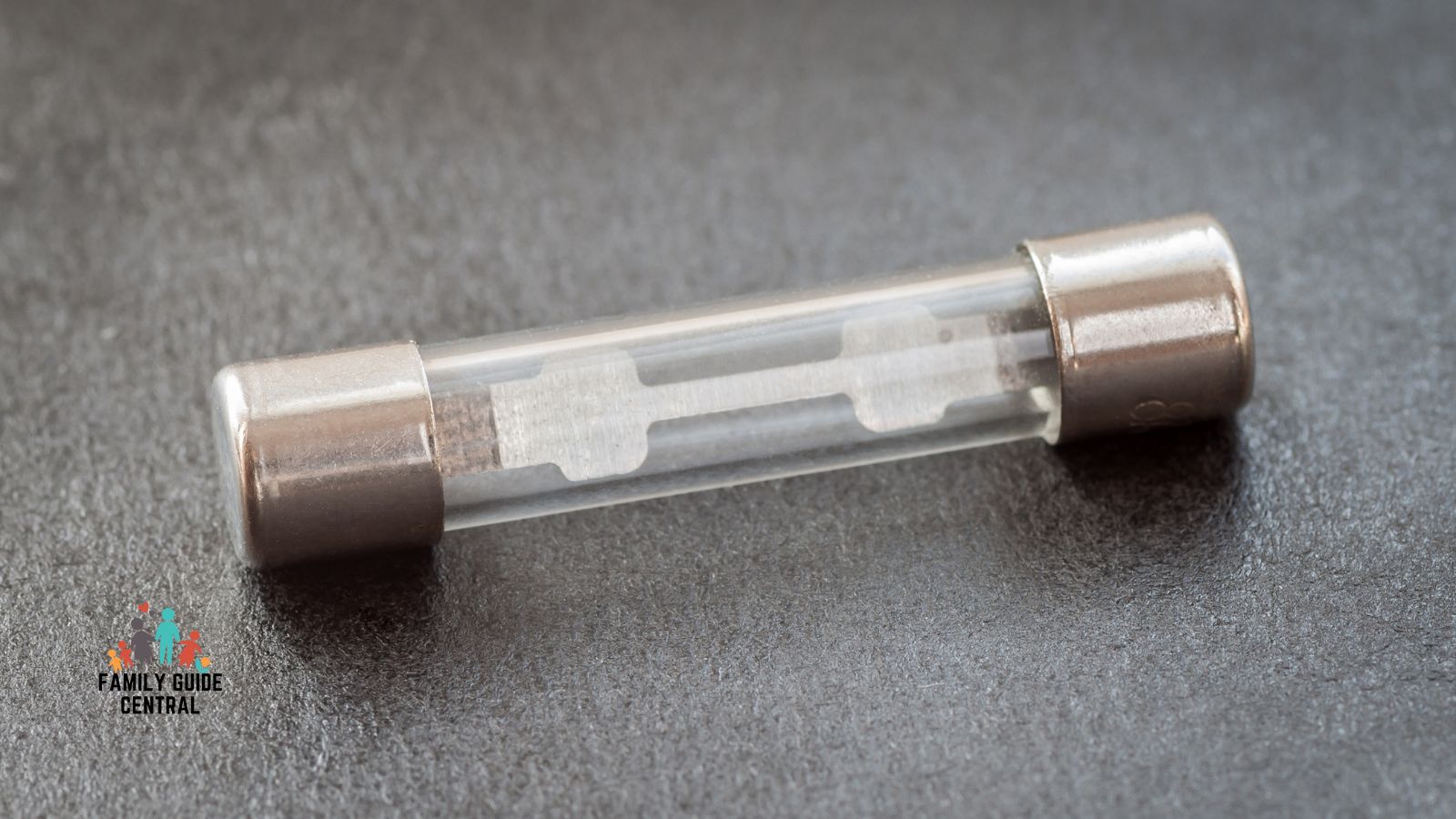Fuse close up - familyguidecentral.com