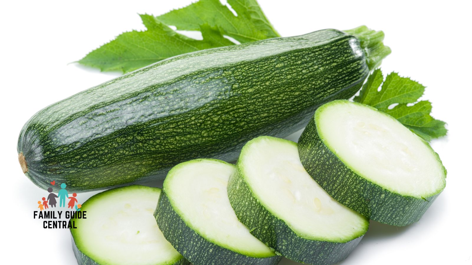 Zucchini - familyguidecentral.com